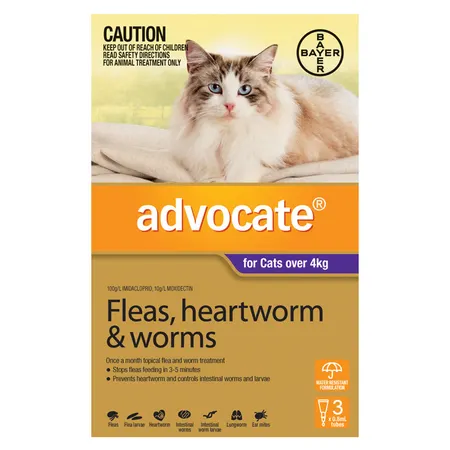 Bayer Advocate Cat 4kg Plus (Large)
