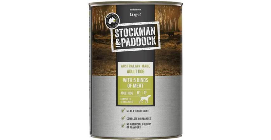 Stockman and paddock outlet working dog