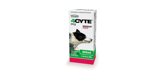 4Cyte Epiitalis Forte Gel for Dogs 200ml