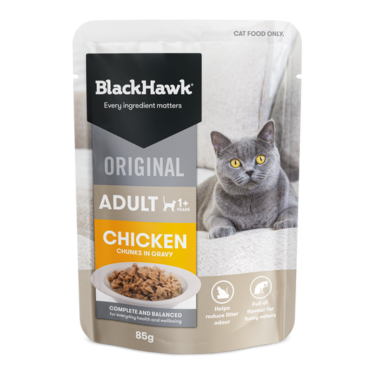 Blackhawk Original Adult Cat Chicken & Gravy 85gm x 12pk