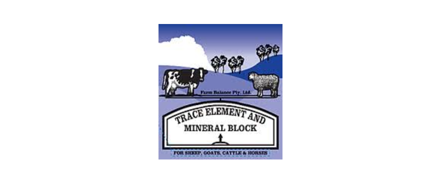 FB Trace Element Mineral Block 18kg
