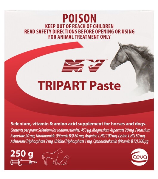 NV Tripart Paste 250gm