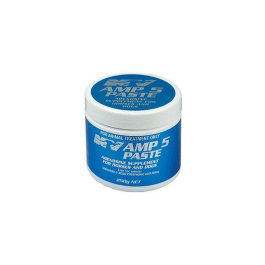 NV AMP-5 Paste 250gm