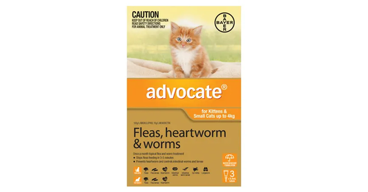 Bayer Advocate Cat 0-4kg (Small)