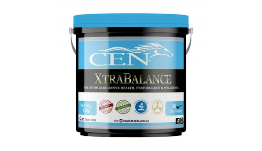 CEN Xtra Balance 1.2kg