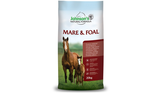 Johnson's Mare & Foal (Poor Pasture)