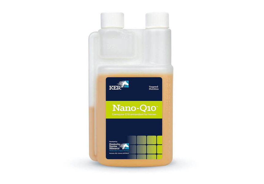Kentucky Nano Q10 450ml