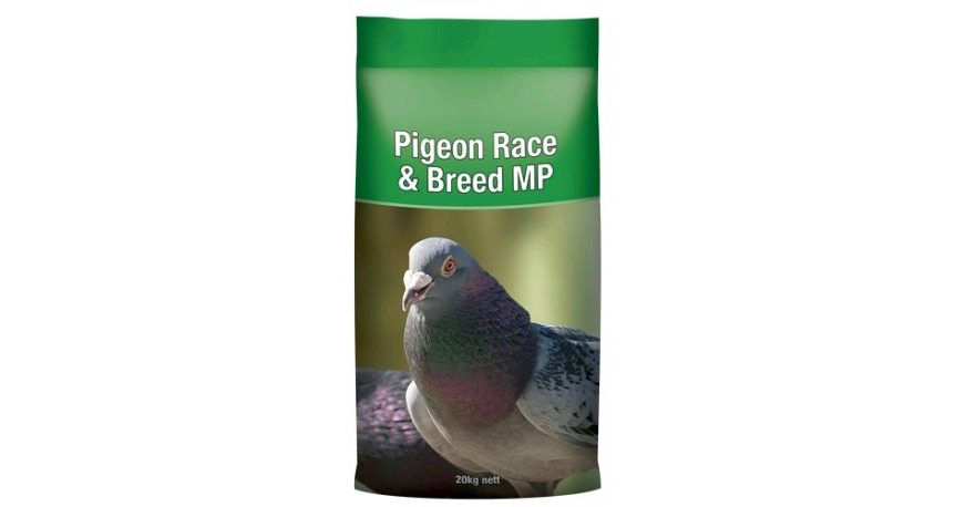 Laucke Pigeon Race & Breed MP