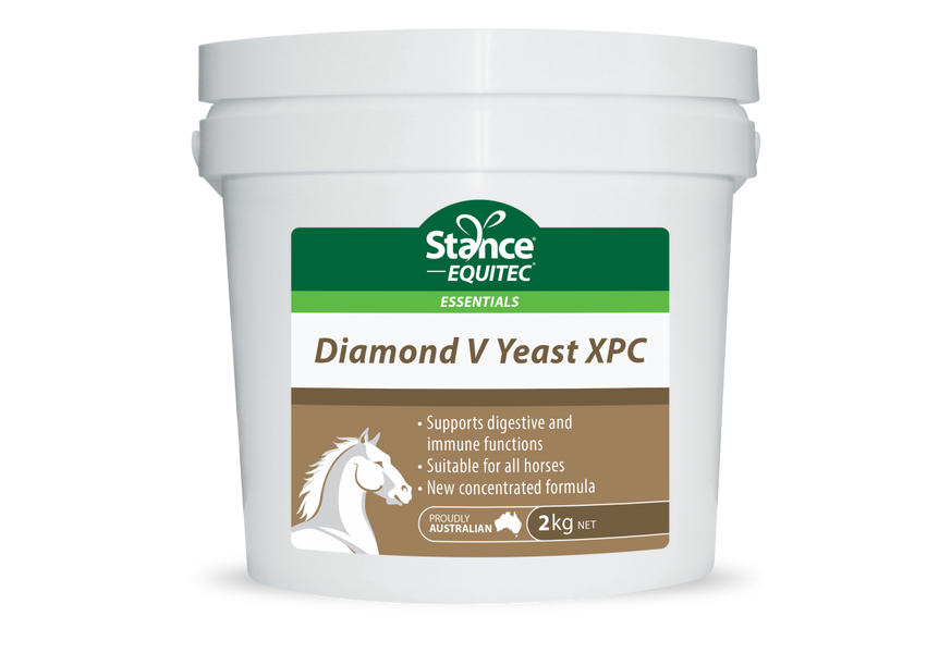 Stance Essential Diamond V Yeast XPC 2kg