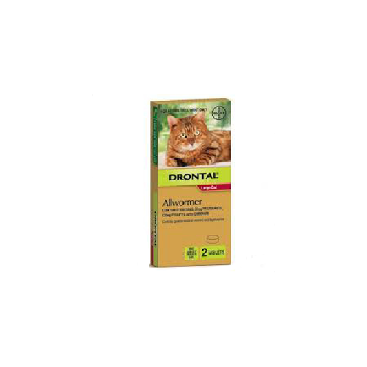 Bayer Drontal Cat Ellipsoid 6kg
