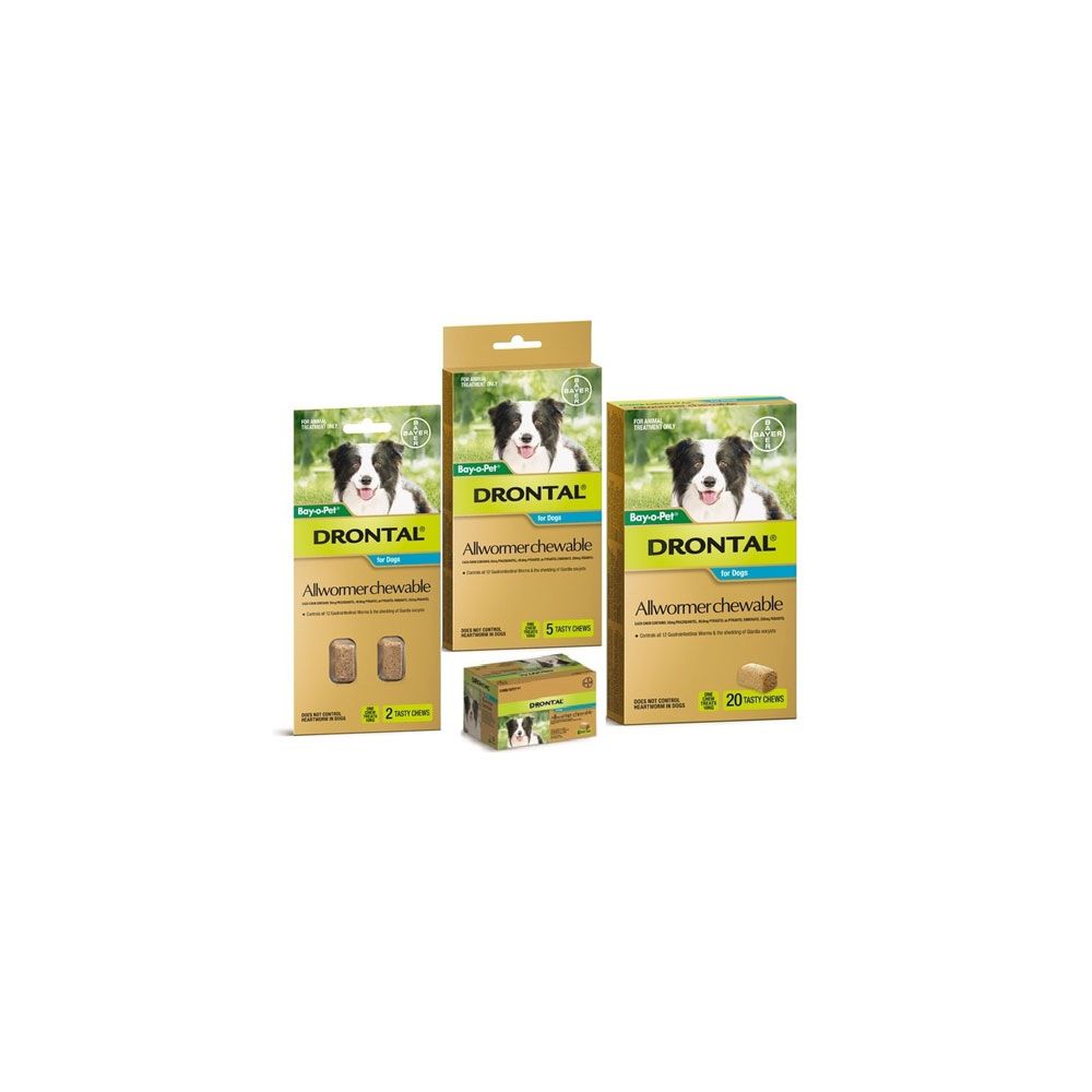 Bayer Drontal Medium Dog