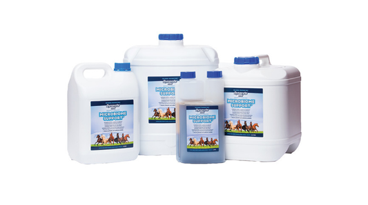 Dynavyte Equine Microbiome Support